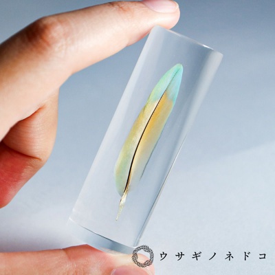 鳥類羽毛標本 桃面牡丹鸚鵡 (綠橘)