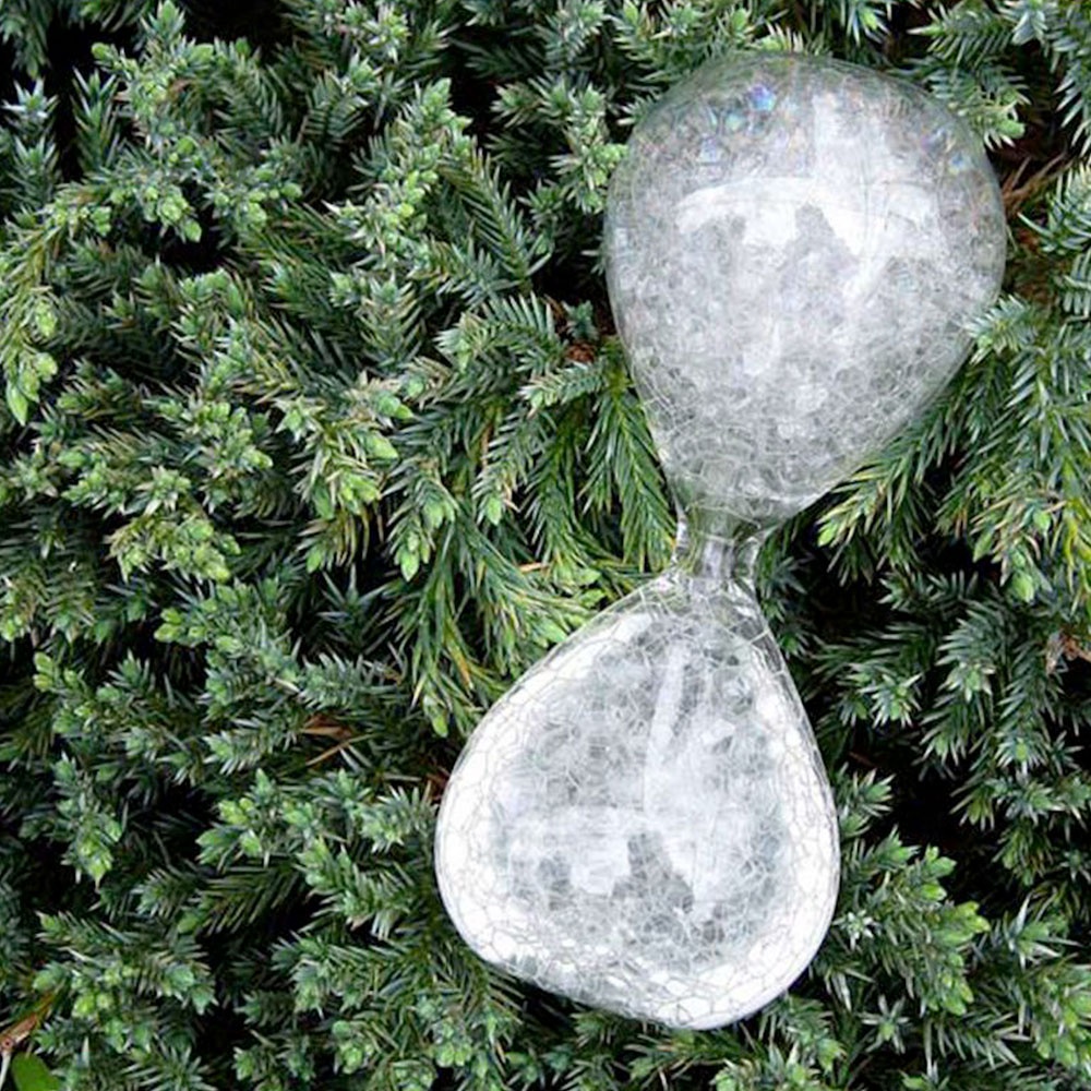 一個透明玻璃製成的沙漏，內部充滿白色泡泡，置於翠綠的針葉植物叢中。