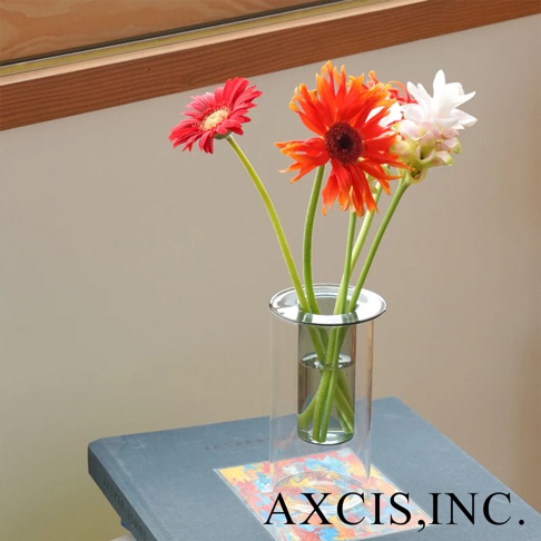 AXCIS, INC. 標誌出現在一個玻璃花瓶中，花瓶內有紅色、橘色和白色花朵。