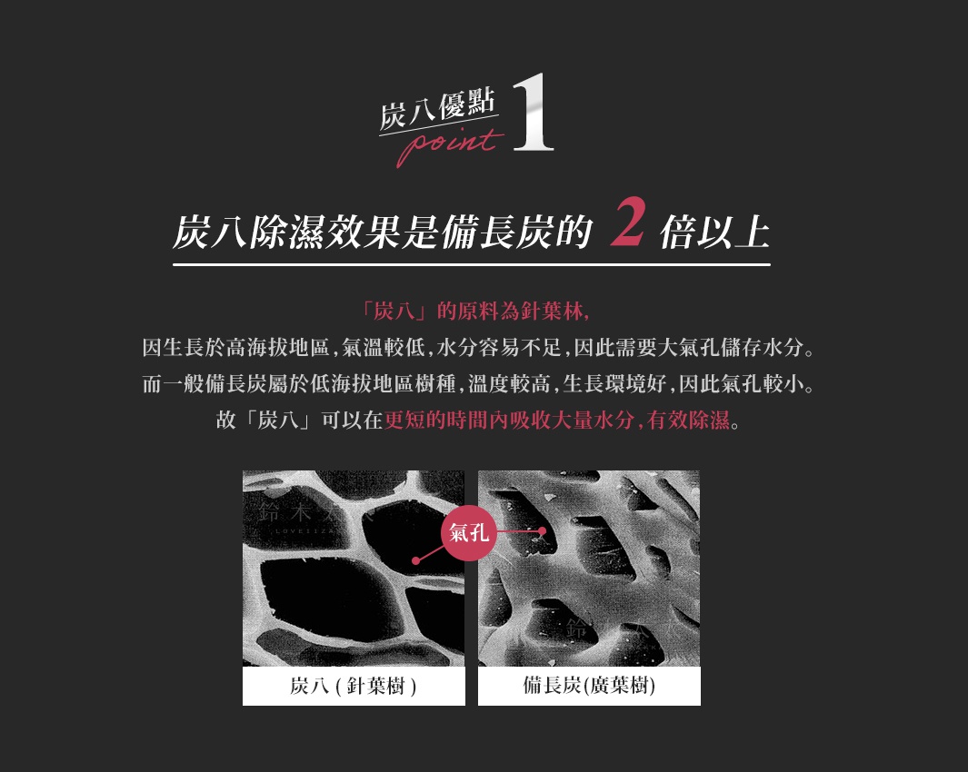 兩張微距圖片，左側為「炭八(針葉樹)」，顯示較大的孔洞結構；右側為「備長炭(廣葉樹)」，顯示較小的孔洞結構，圖片下方有文字說明。