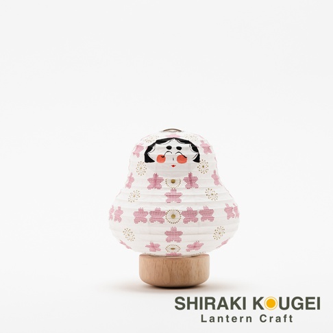 白色紙質達摩不倒翁提燈，帶有粉色櫻花圖案和金色點綴，臉部繪有傳統日式風格的五官，立於圓形木質底座上。
