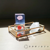 兩個透明立方體，上方立方體內嵌一朵粉色櫻花，下方立方體內嵌一朵紅色花朵，置於金色邊框玻璃托盤上，旁有一塊白色水晶。