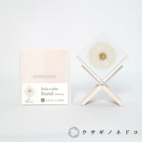Sola cube 立方塊木質置物架，展示著透明立方體內封存的白色蒲公英，下方為木質交叉支架。旁邊為產品包裝盒，印有產品名稱及品牌標誌。