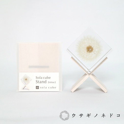 Sola cube 立方塊木質置物架，展示著透明立方體內封存的白色蒲公英，下方為木質交叉支架。旁邊為產品包裝盒，印有產品名稱及品牌標誌。