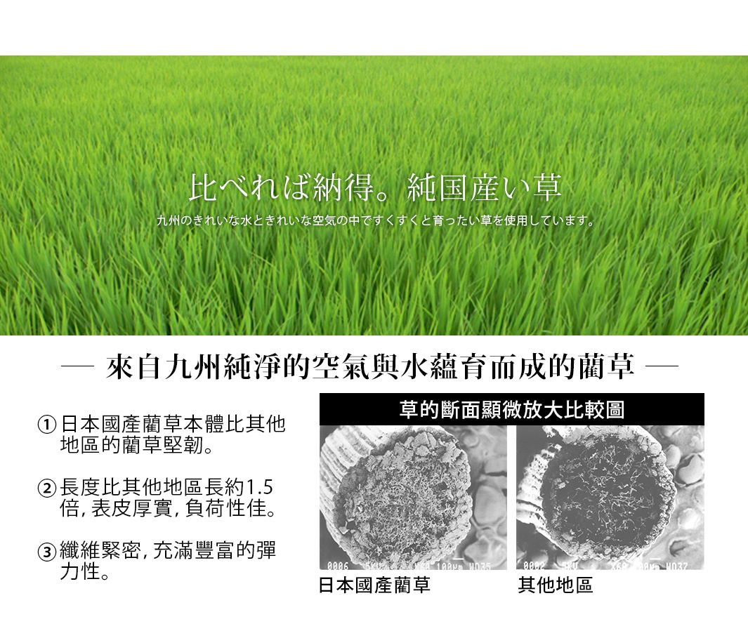 天然和風藺草紋織坐墊，材質為藺草，織有和風紋路，圖片顯示兩種顏色可選，並有顯微鏡下的藺草橫切面比較圖。
