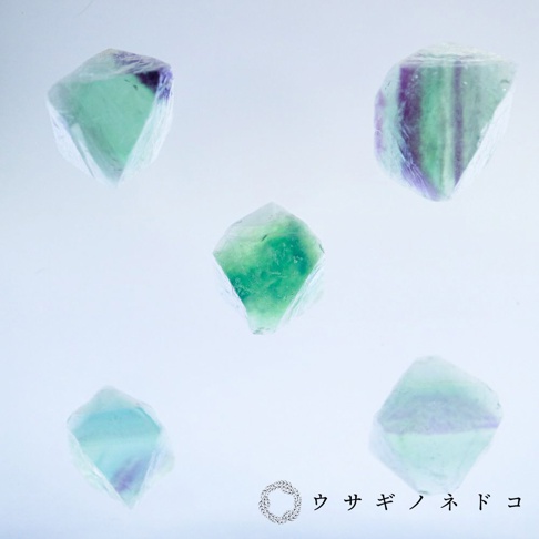 五顆八面體螢石標本，呈現從淺綠到紫色的漸層色澤，部分標本帶有明顯的紫色條紋。