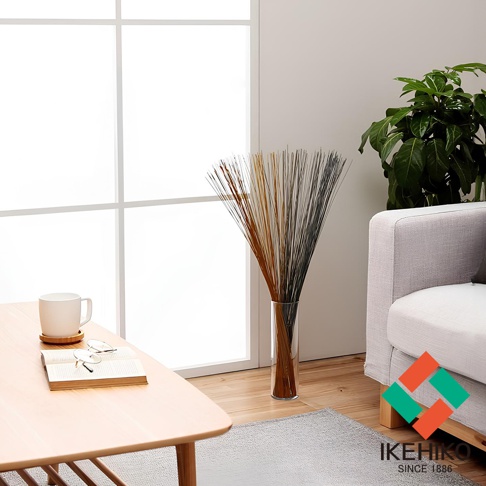 玻璃花瓶中插著一束約70公分的天然藺草，呈現棕色、金色和黑色等多種顏色，作為居家裝飾。