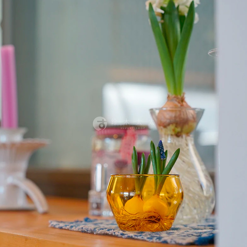 琥珀色圓潤玻璃杯，杯壁有細緻紋理，盛裝著水耕的風信子球根與綠葉。