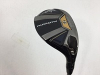 PARADYM 長鐵/混血桿/小雞腿 (桿身 Tour AD UB-6)