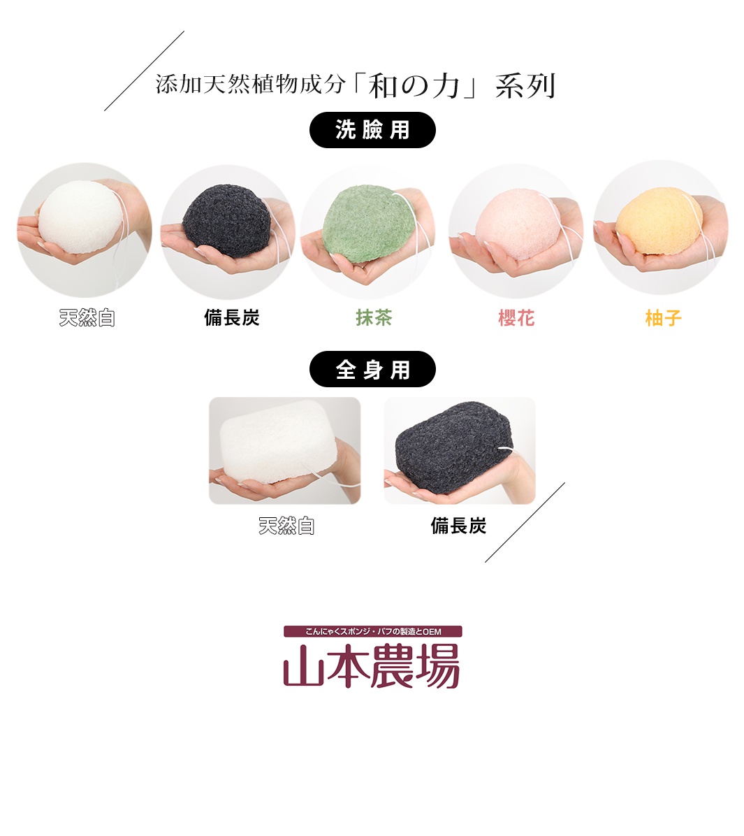 蒟蒻QQ薄型海綿，提供天然白、備長炭、抹茶、櫻花、柚子等五種顏色款式，圓形或方塊狀，皆附有掛繩。