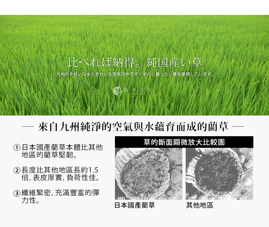 日本國產藺草草本體，與其他地區藺草的橫截面微觀對比圖，顯示其纖維緊密、表皮厚實，並有豐富的彈力。
