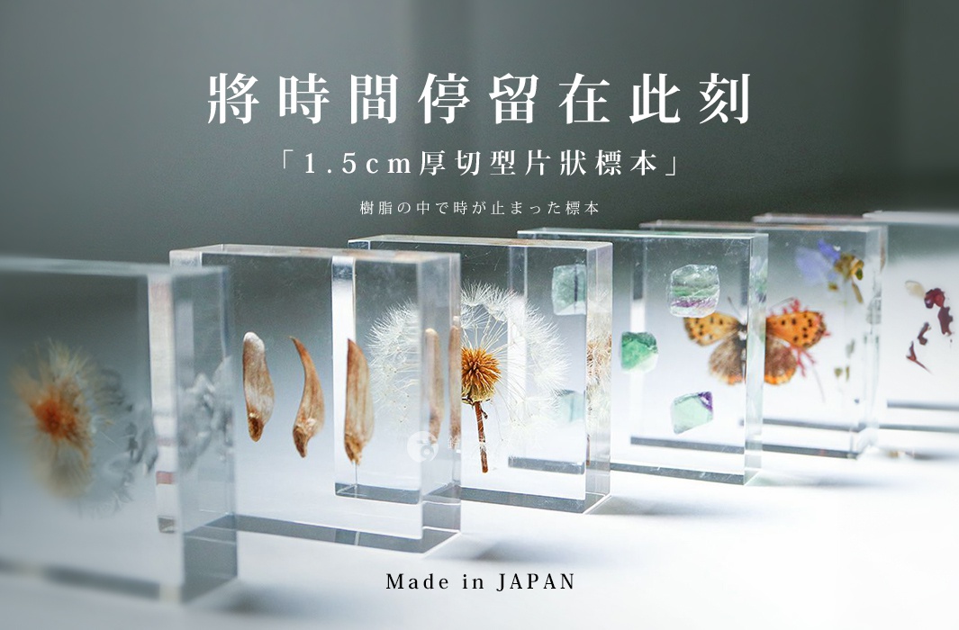 透明樹脂塊中封存著蒲公英、種子、蝴蝶、花瓣等標本，部分樹脂塊內含螢石，呈現多種色彩。