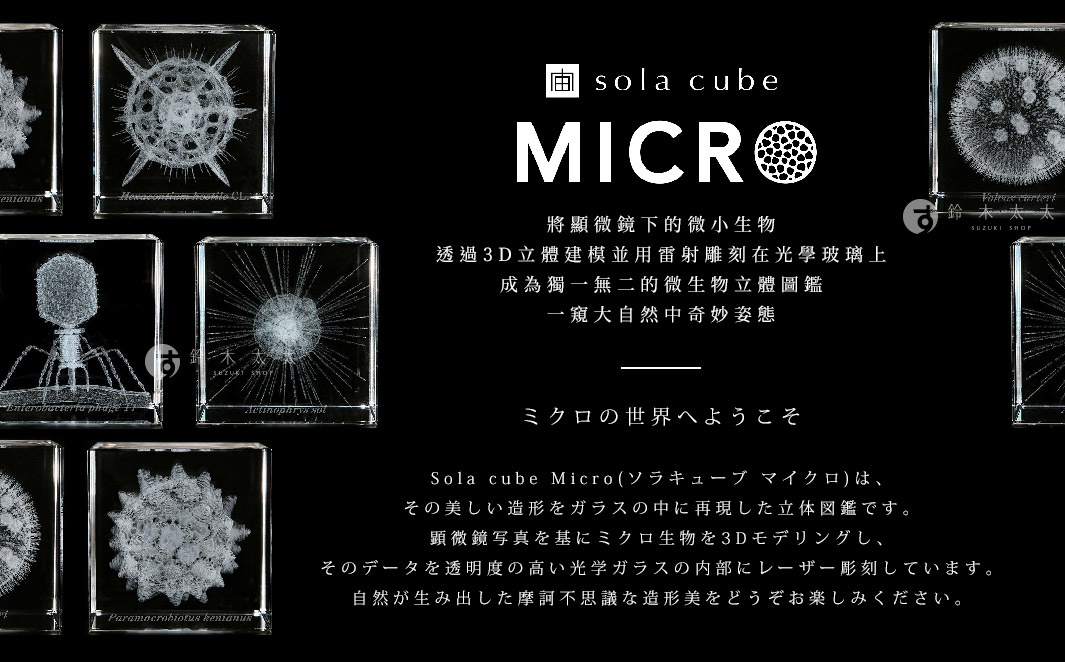 Sola cube Micro
將顯微鏡下的微小生物透過3D立體建模並用雷射雕刻在光學玻璃上
成為獨一無二的微生物立體圖鑑，一窺大自然中奇妙姿態

ミクロの世界へようこそ
Sola cube Micro(ソラキューブ マイクロ)は、その美しい造形をガラスの中に再現した立体図鑑です。
顕微鏡写真を基にミクロ生物を3Dモデリングし、そのデータを透明度の高い光学ガラスの内部にレーザー彫刻しています。
自然が生み出した摩訶不思議な造形美をどうぞお楽しみください。
