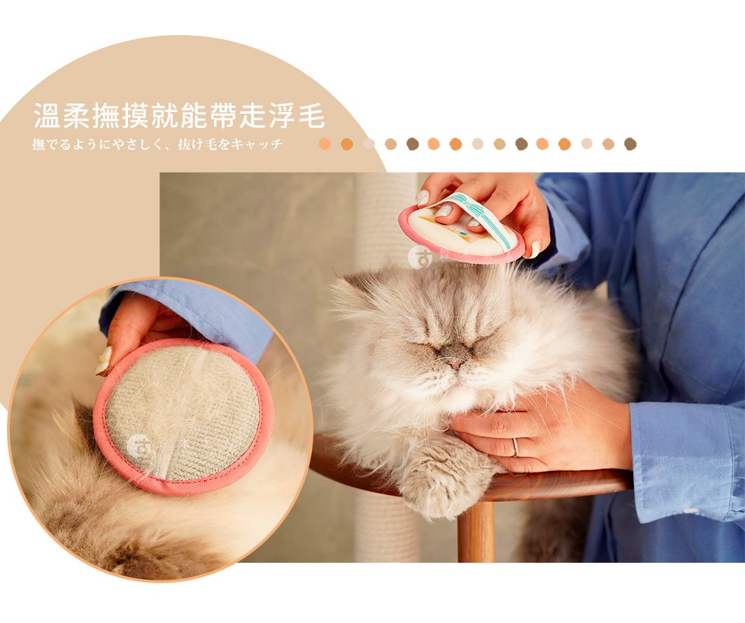 這是一張 Nippon Seal 貓咪專用浮毛梳理刷的廣告圖片，上方標題為溫柔撫摸就能帶走浮毛。畫面右側展示一位穿著藍色襯衫的人，手持圓形粉邊刷具，輕柔地為一隻眼睛閉上的長毛貓梳理毛髮；左下方圓形視窗則特寫展示該梳理刷在捕捉浮毛後的清潔效果。