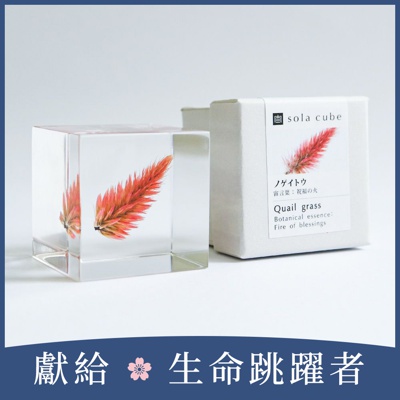 Sola cube 青葙立方塊 (宙言葉：祝福之火)