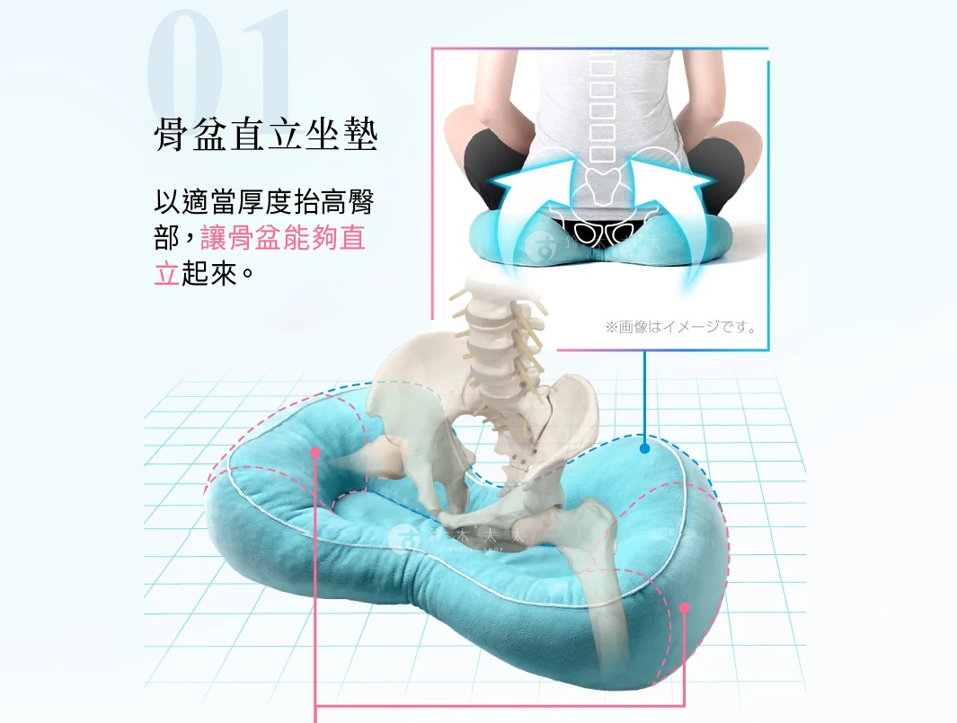 骨盆直立坐墊，透過適當厚度抬高臀部，幫助骨盆維持直立，改善坐姿。