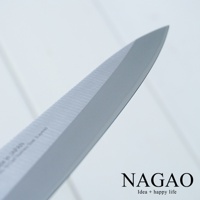 燕三條 VG-10 不鏽鋼水果刀，刀刃呈銀白色，細膩的打磨痕跡清晰可見，刀尖銳利，刀身有「MADE IN JAPAN」和「Stainless Steel Layered」等字樣。