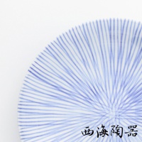 波佐見燒點心碟，白色陶瓷上繪有藍色十草紋，放射狀的線條從中心向外延伸，風格簡潔。