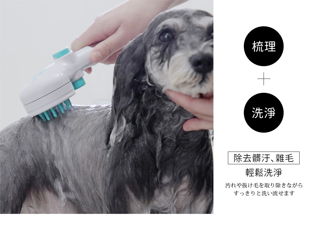 寵物美容洗澡SPA專用蓮蓬頭，白色主體搭配藍色按鈕與刷毛，可同時梳理和清洗寵物毛髮。