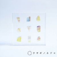 透明方形展示盒內，展示九塊不同形狀、厚度約1.5公分的螢石（細石）切片標本，顏色包含黃色、紫色、藍色及透明色，呈現天然紋理。