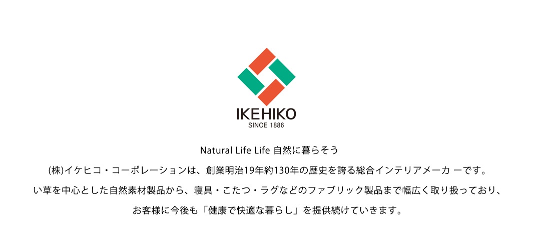 藺草消臭抗敏機能枕，枕套為白色，帶有藺草編織紋理，整體呈現自然、樸素的風格。
