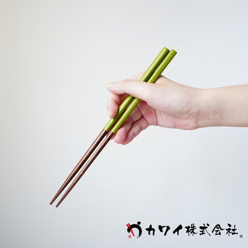 手持一雙由木製成的筷子，上方為綠色，下方為深棕色，筷子尖端細長。