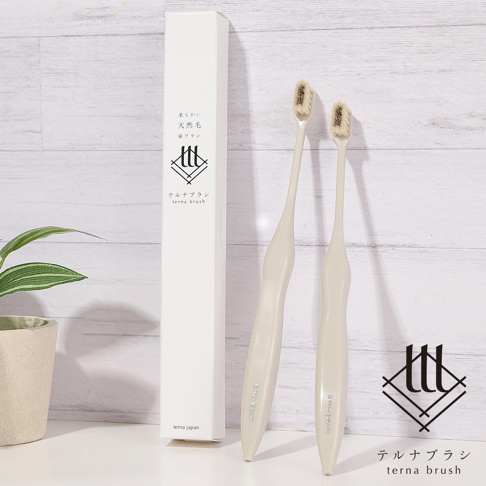 一組米色手柄的 terna brush 天然毛牙刷與其外包裝盒，包裝盒上印有品牌標誌與產品名稱。牙刷頭部刷毛細緻，整體擺放在淺色木紋背景前，左側有一盆綠色小盆栽作為點綴。