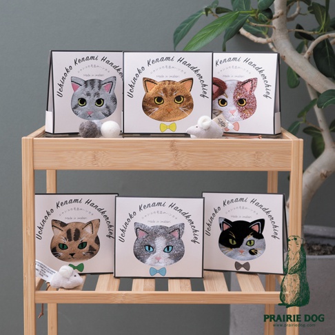 這款 Prairie Dog 品牌推出的 Uchinoko Mate 今治細柔貓感刺繡方巾，以簡約質感的白色禮盒包裝，陳列於雙層木質層架上。每盒包裝正面皆印有精緻的貓咪頭像刺繡與 Uchinoko Kenami Handkerchief 字樣。展示架上共放置六款不同花色與品種的貓咪刺繡方巾，下方隨性擺放著可愛的小白鼠玩具，背景為翠綠室內盆栽，整體風格清新典雅。