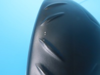 1550027411_5