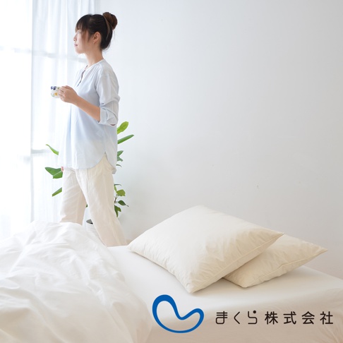 兩件式飯店風格輕奢羽絨枕，白色蓬鬆柔軟，搭配白色床單與窗邊綠植，呈現居家舒適感。