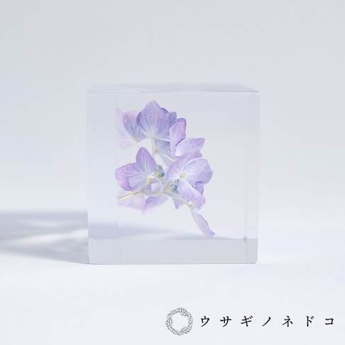 透明立方體中嵌入淡紫色繡球花，花瓣細緻，莖部呈現自然的彎曲，置於純白色背景上，展現簡約純淨的美感。