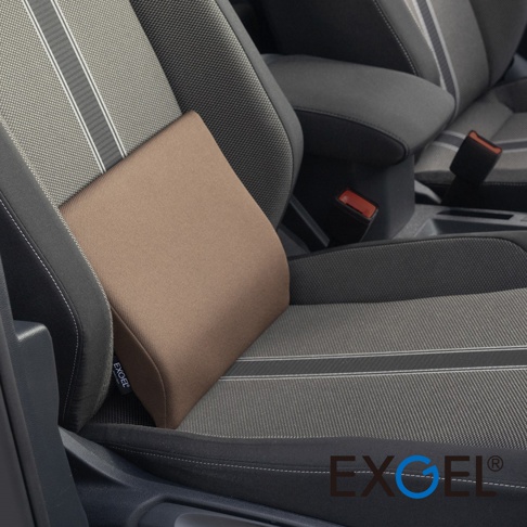 一個放在汽車駕駛座上的深褐色日本EXGEL品牌透氣腰靠墊，外觀呈現長方形弧面設計，材質看起來舒適貼合，為駕駛提供支撐與保護。