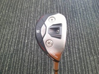 BX1 ST HY 長鐵/混血桿/小雞腿 (桿身 Dynamic Gold HT)