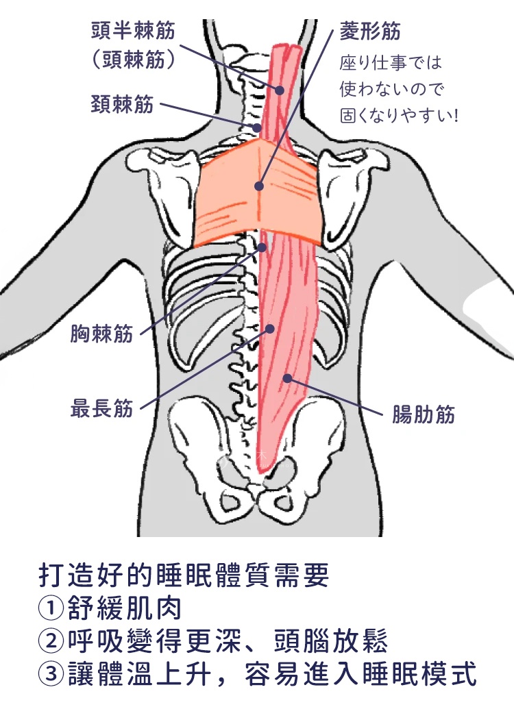 睡不著的原因...
通常是身體肌肉緊張無法放鬆


打造好的睡眠體質需要
①舒緩肌肉
②呼吸變得更深、頭腦放鬆
③讓體溫上升，容易進入睡眠模式