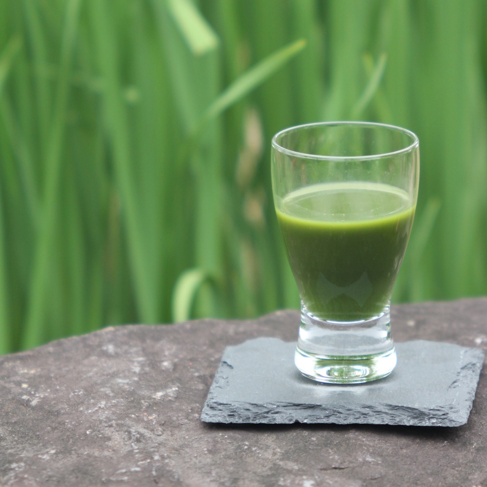 綠色健康飲品杯，置於深色石板上，背景是模糊的綠色植物