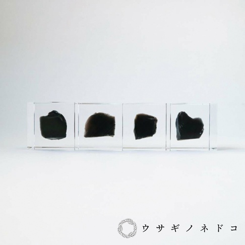 四個透明立方體展示著不規則形狀的黑色礦石，呈現半透明的質地，光線穿透礦石。