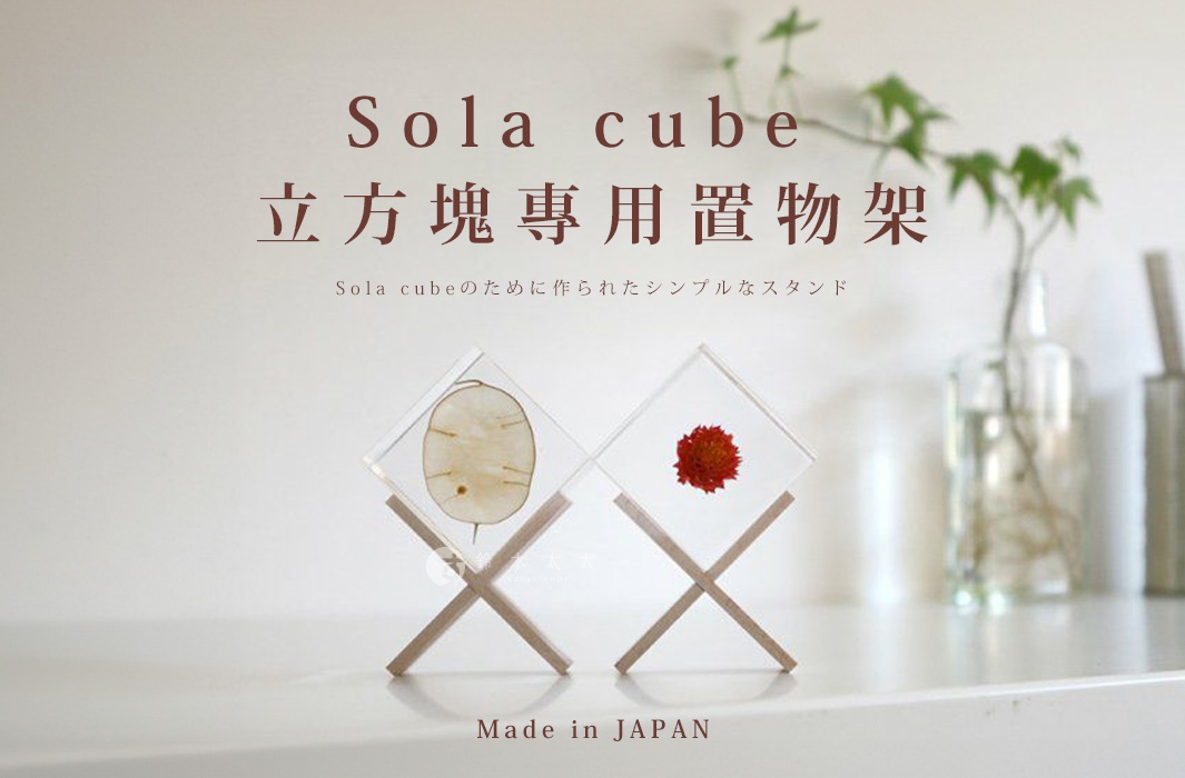 兩個透明立方體展示架，分別封存著乾燥的植物標本，以木質交叉支架支撐，簡潔優雅。