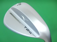 T24 White Satin 58-10 挖起桿 (桿身 DG)