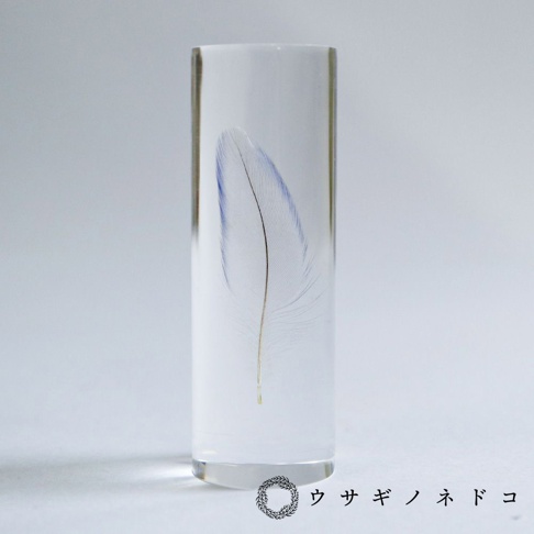 透明樹脂包裹著一根虎皮鸚鵡羽毛標本，羽毛呈現藍色與白色，羽軸為金黃色，置於淺色背景中。