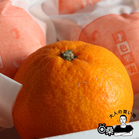 和歌山才色果實蜜柑禮盒 主圖3.jpg