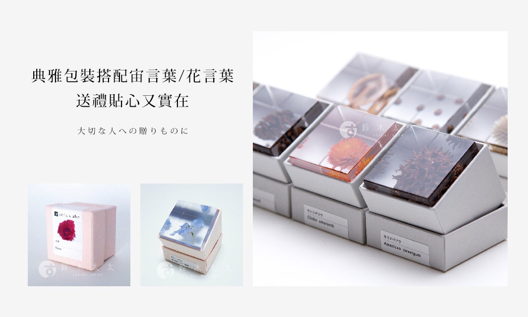 Sola cube 落葉松毬果立方塊，透明樹脂包裹著深棕色帶有尖刺的落葉松毬果，置於白色紙盒中。