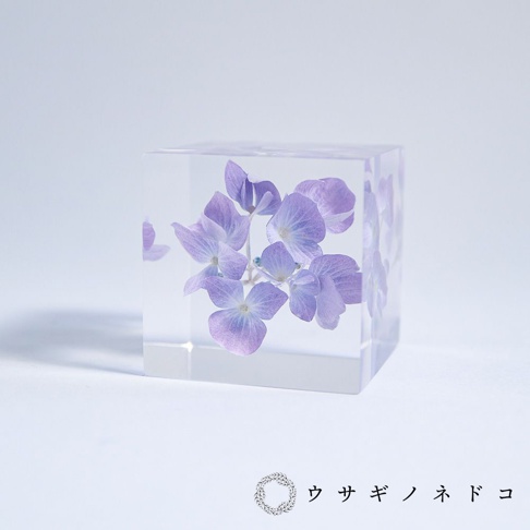 透明立方體中封存著一叢淡紫色繡球花，花瓣細緻，呈現自然的層次感。