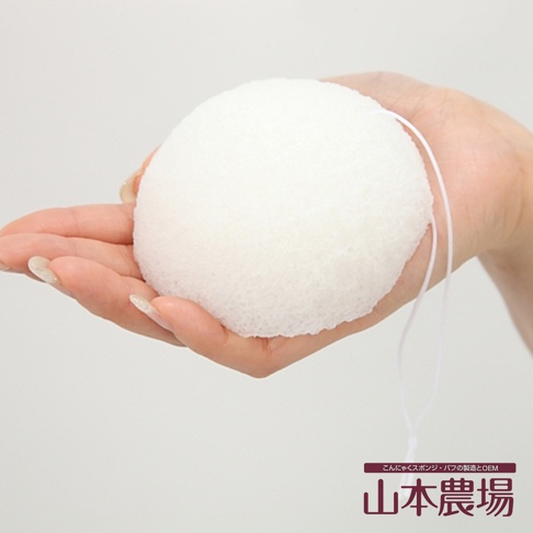 一隻手捧著一個白色、圓形、多孔的蒟蒻洗臉海綿，海綿上有細緻的紋理，一條細繩從海綿上方垂下。