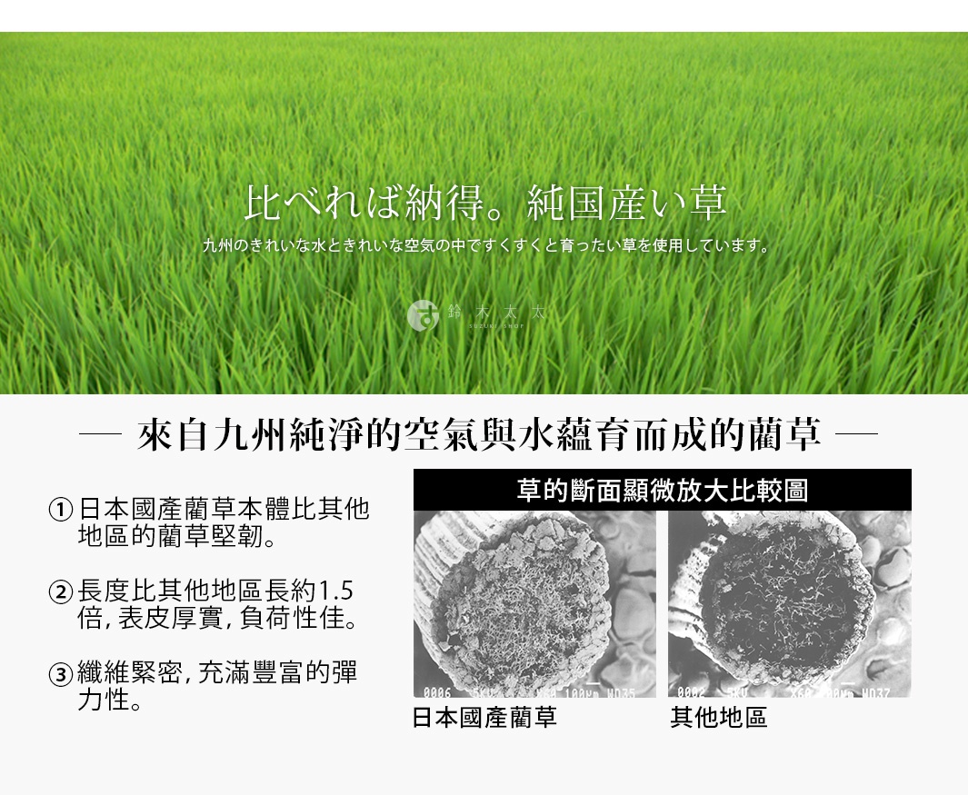 日本藺草枕，圖片展示了日本國產藺草的顯微放大圖，與其他地區的藺草進行比較，強調了日本藺草的纖維緊密、表皮厚實、韌性佳等特點。