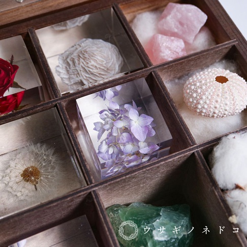 木盒中展示著多個透明立方塊，其中一個立方塊內封存著淡紫色繡球花，花瓣清晰可見，搭配周圍的粉色水晶、白色海膽、蒲公英和綠色礦石，呈現精緻的收藏樣貌。