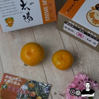 愛媛蜜柑禮盒-2.jpg