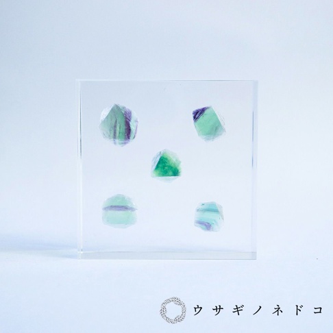 五塊八面體螢石標本，呈現綠色、紫色及無色層次，置於透明壓克力方塊中，背景為白色。