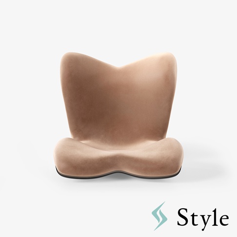 一款採用淺棕色絨面材質的 Style PREMIUM DX α 健康護脊椅墊，呈現符合人體工學的流線型設計，右下角標註品牌名稱與 Logo。