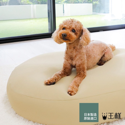 玩具貴賓犬趴在米駝色的王樣寵物夢枕上，背景是居家窗景，圖片下方有日文標示「日本製造原裝進口」及王樣品牌Logo。