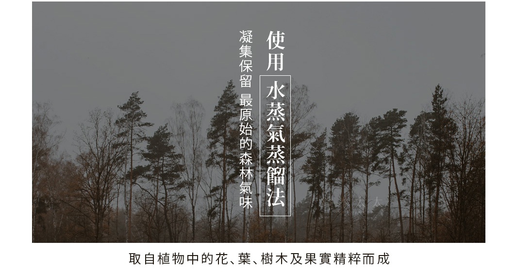 日式本真系列JB01 青森檜木精油，背景為一片陰沉的樹林，畫面中央豎向文字「使用水蒸蒸餾法 凝聚保留最原始的森林氣味」。
